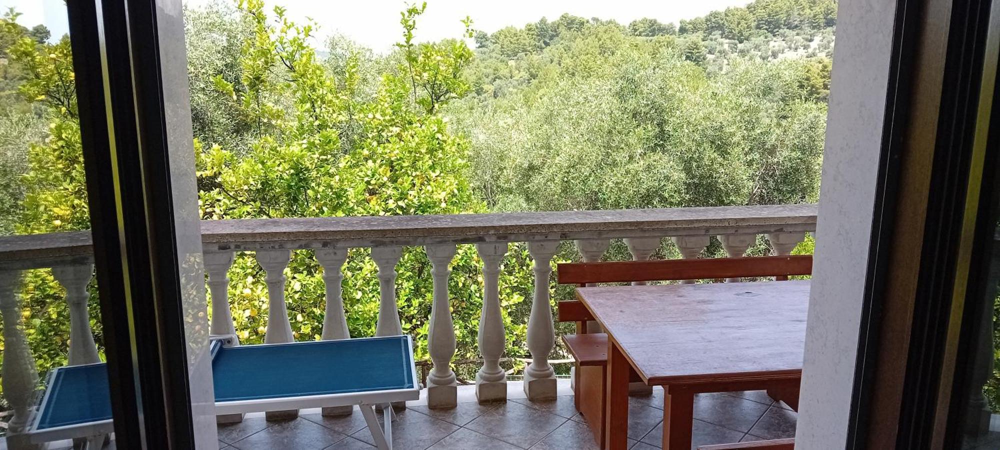 Agriturismo Valle Dei Gelsi Peschici Habitación foto